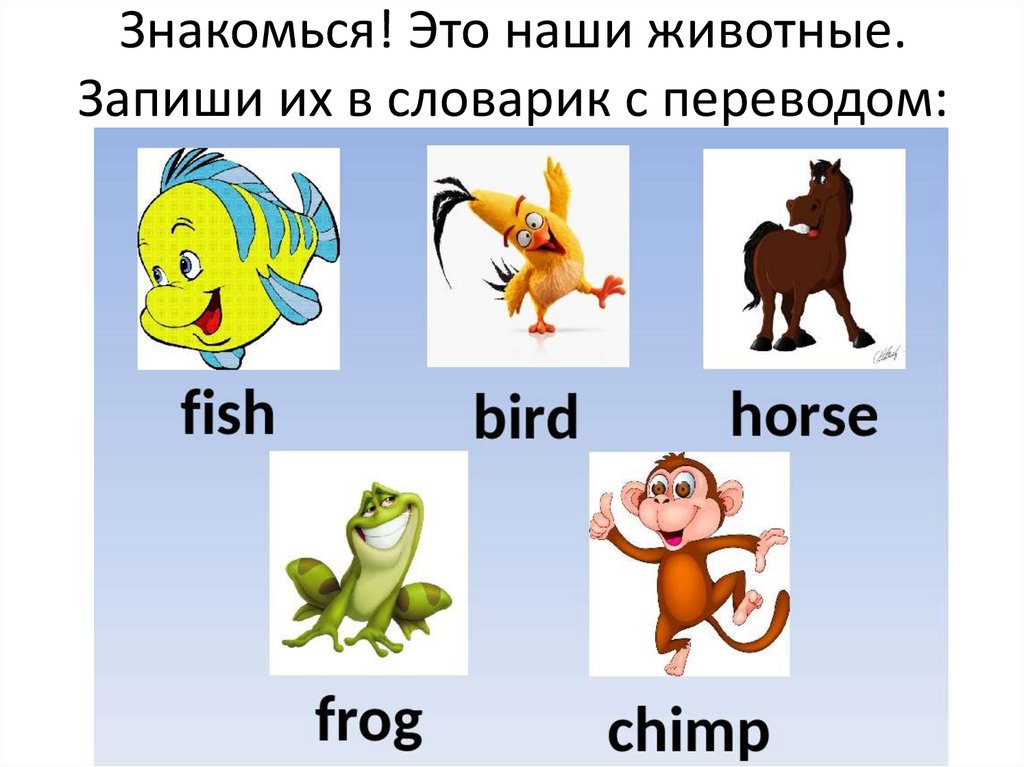 A chimp can sing. Животные на английском для малышей. Животные английский для детей карточки. Животные на английском 2 класс. Животные для второго класса английский.