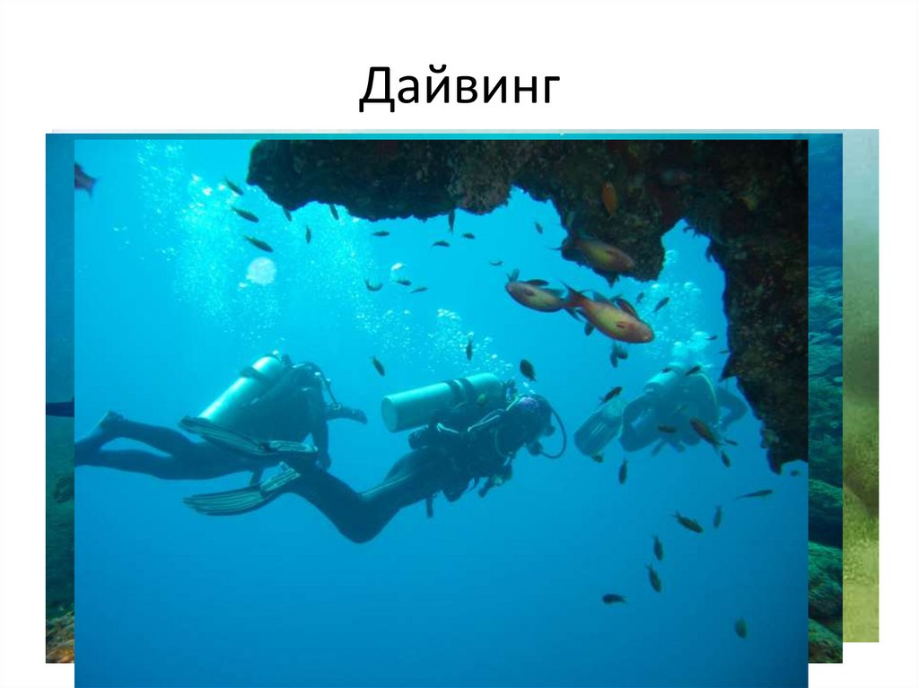 Дайвинг
