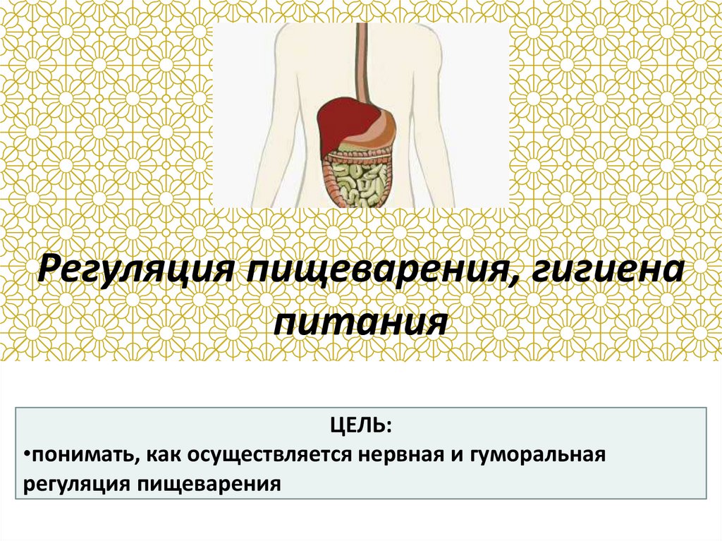 Регуляция пищеварения гигиена питания презентация 8 класс