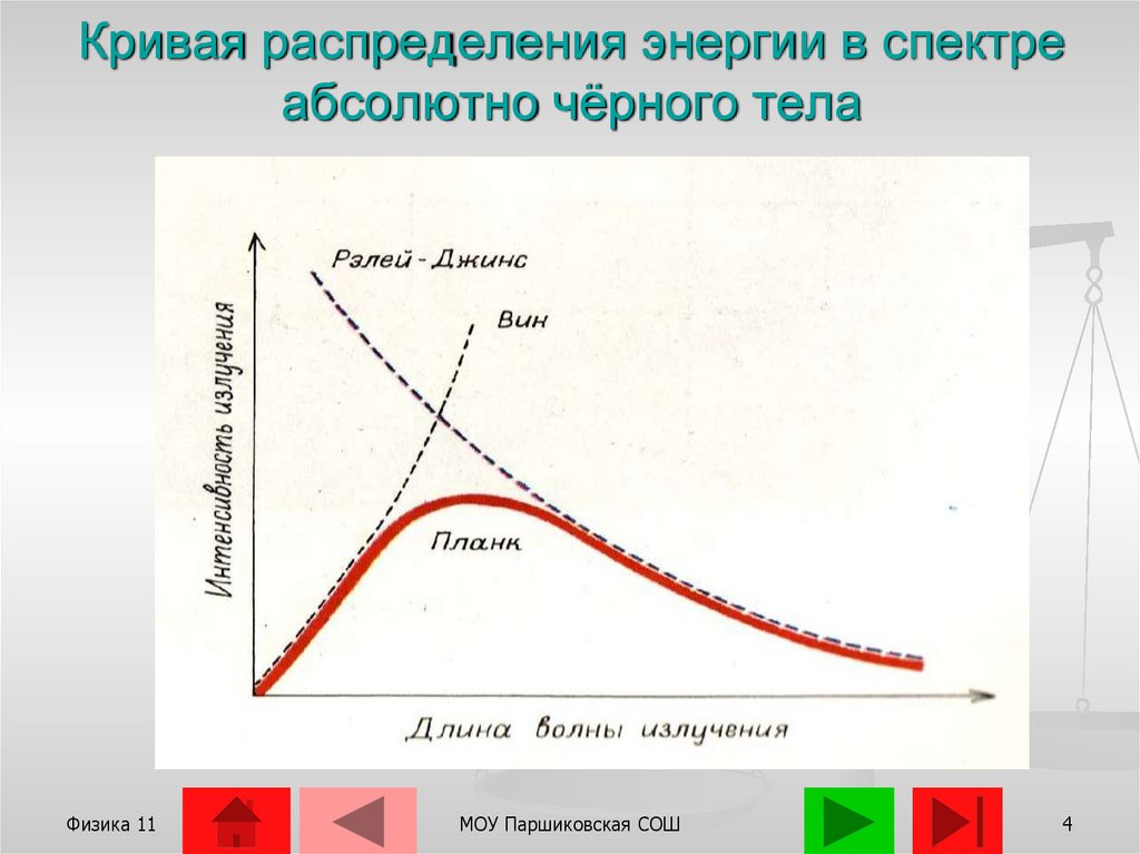 Нарисуйте и объясните кривую распределения энергии в спектре черного тела