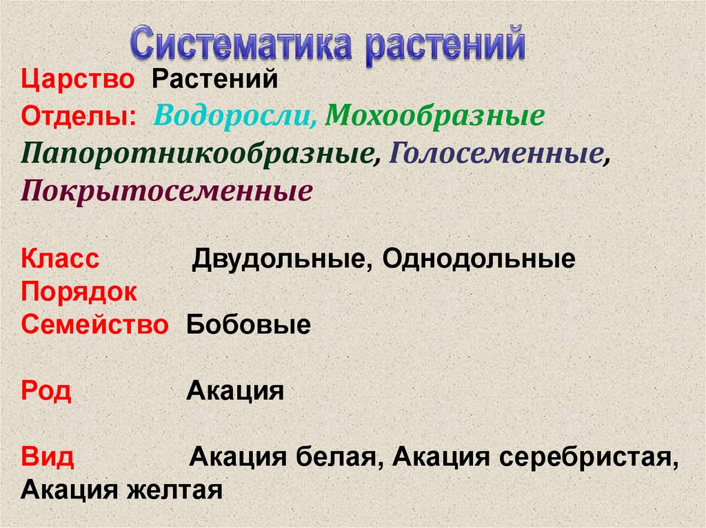 Какие признаки лежат в основе систематики водорослей