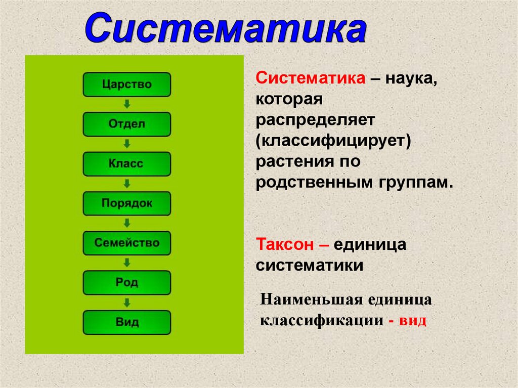 Основы систематики растений презентация