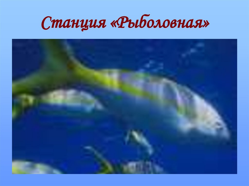 Станция «Рыболовная»