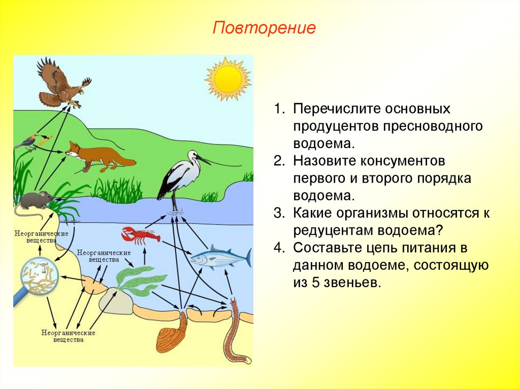 Какие из известных вам сообществ и экосистем. Биогеоценоз. Характеристика биогеоциноз. Источник энергии биогеоценоза. Экосистема и биогеоценоз.