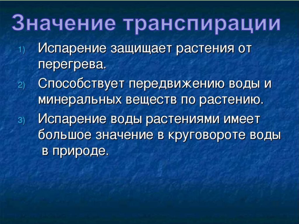 Транспирация и фотосинтез. Значение транспирации. Значение транспирации в жизни растений. Значение транспирации для растений.