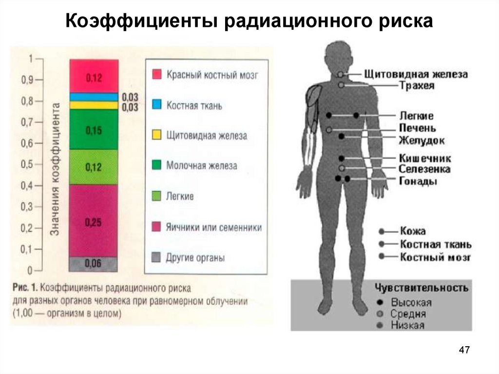 Самый большой показатель радиации имеет