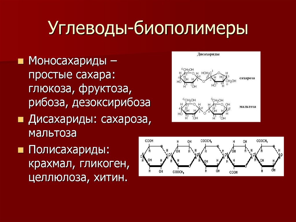 Соединение мономеров белка. Строение полимеров углеводов. Биополимеры полисахариды. Биополимеры углеводы липиды. Структура полимера углеводов.