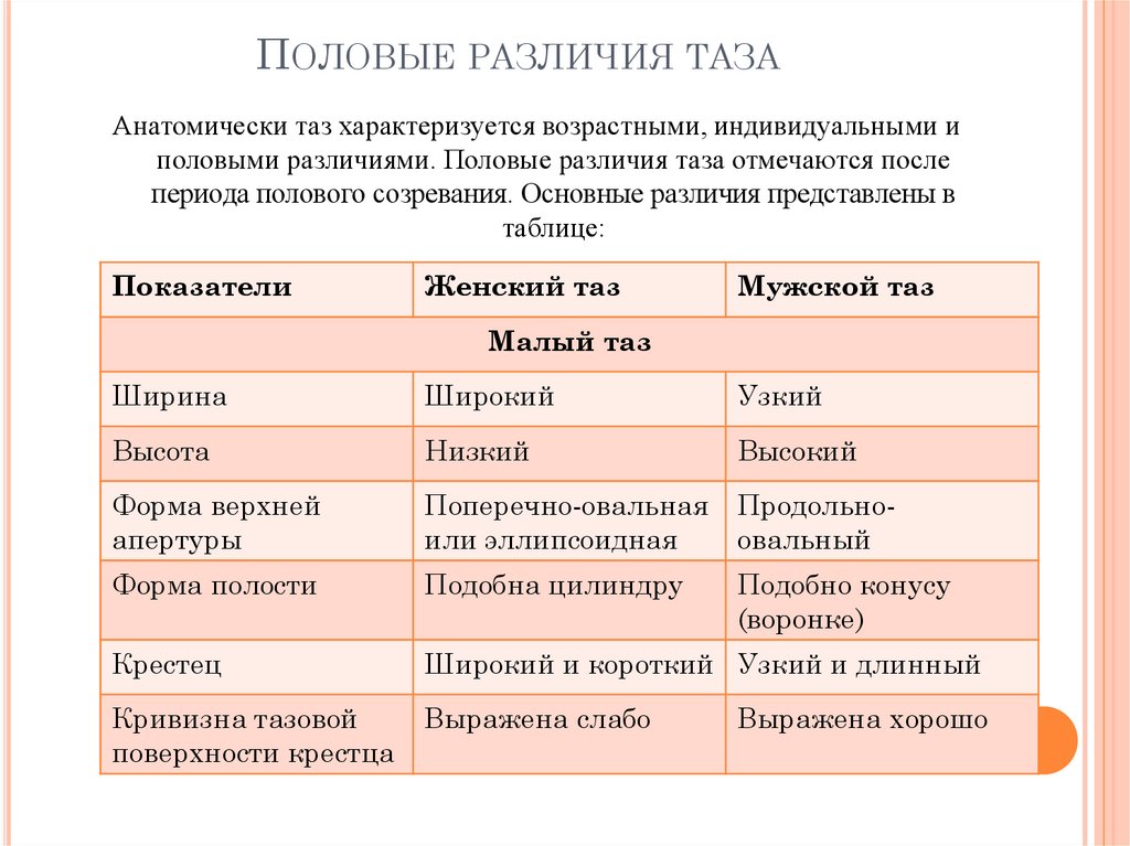 Различия полов