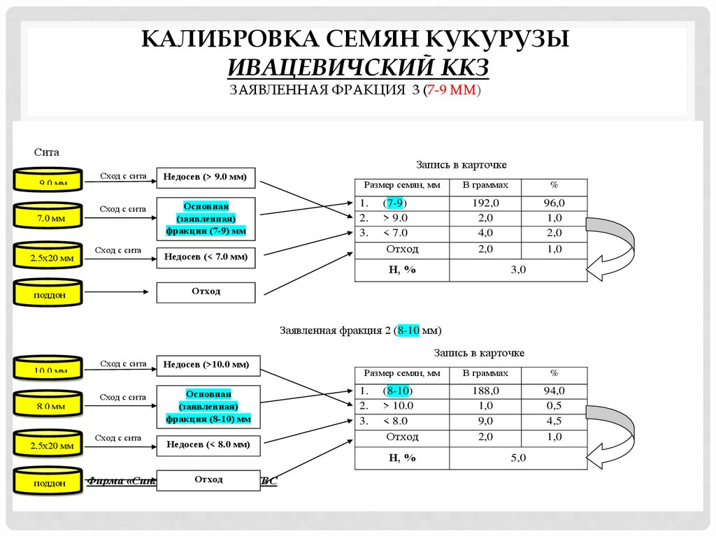 Калибровка семян кукурузы  Ивацевичский ККЗ заявленная фракция 3 (7-9 мм)  