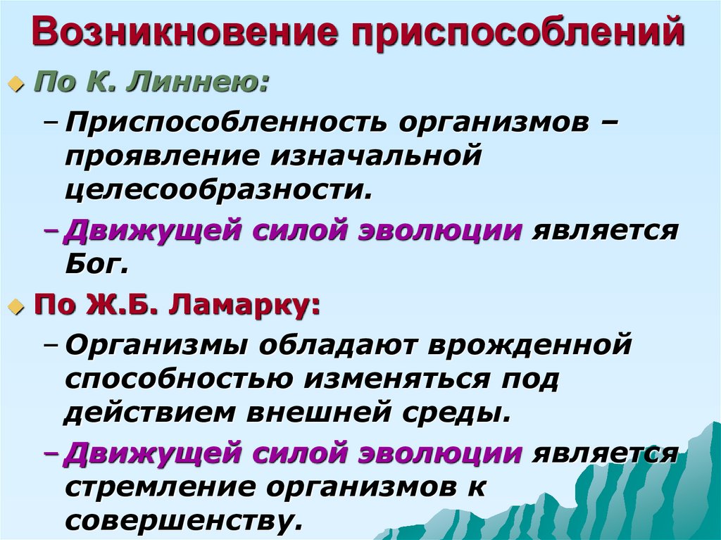 Приспособленность организмов к условиям внешней среды как результат действия естественного отбора презентация