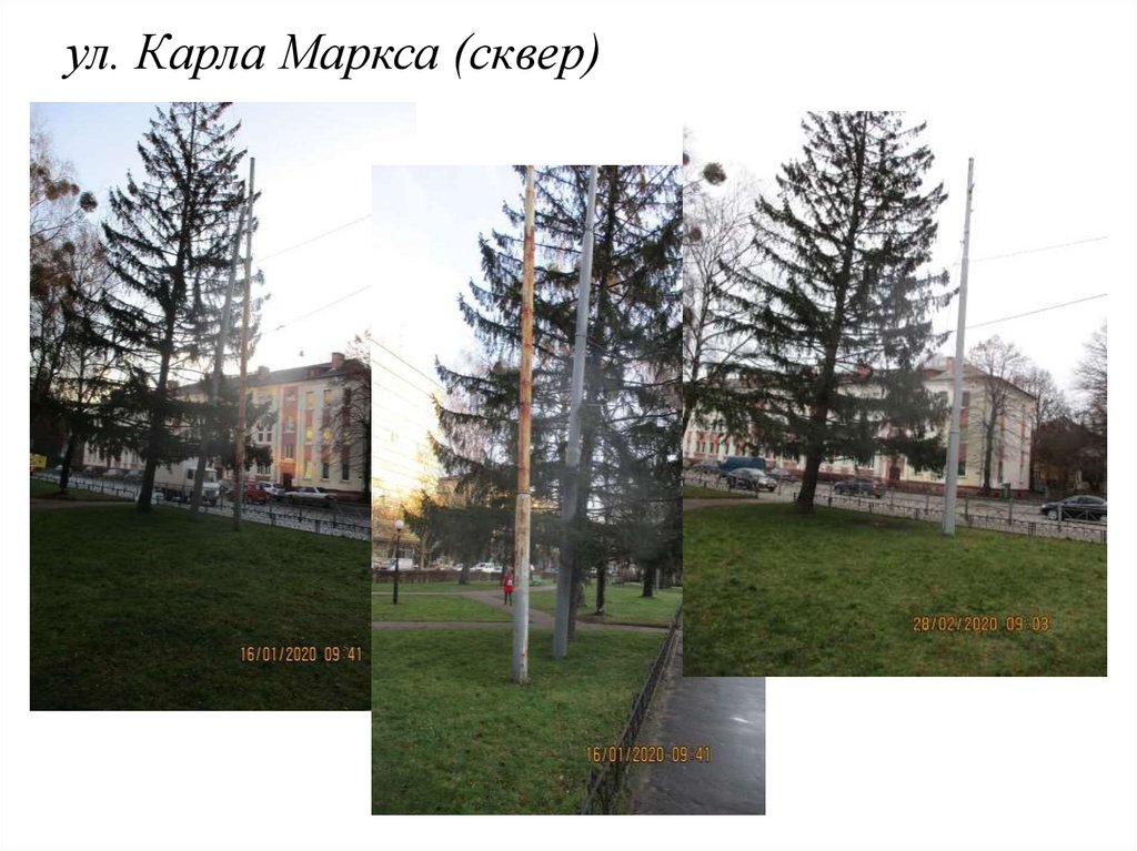 ул. Карла Маркса (сквер)