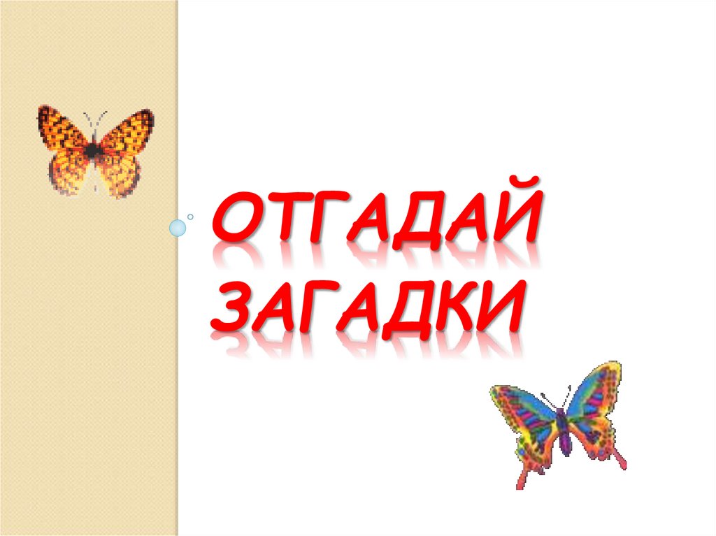 отгадай загадки