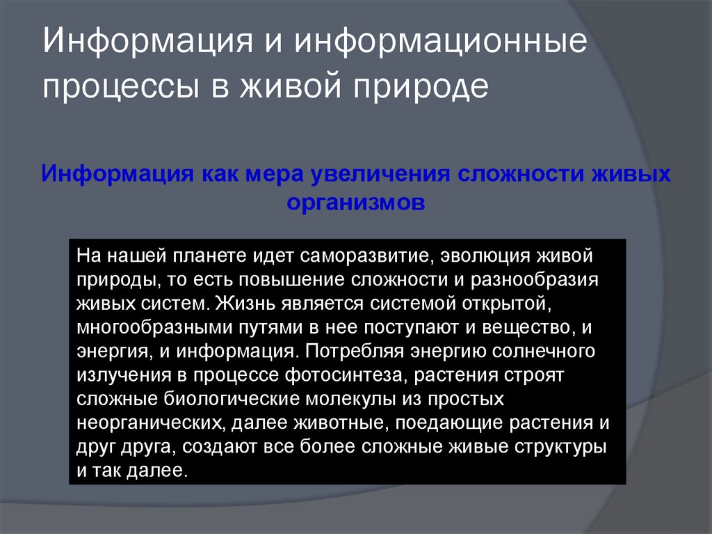 Информационные процессы в природе. Информация и информационные процессы в природе. Процессы живой природы. Примеры информационных процессов в природе.