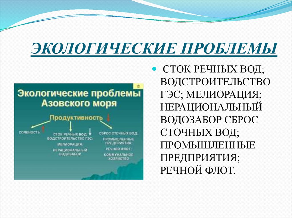 ЭКОЛОГИЧЕСКИЕ ПРОБЛЕМЫ