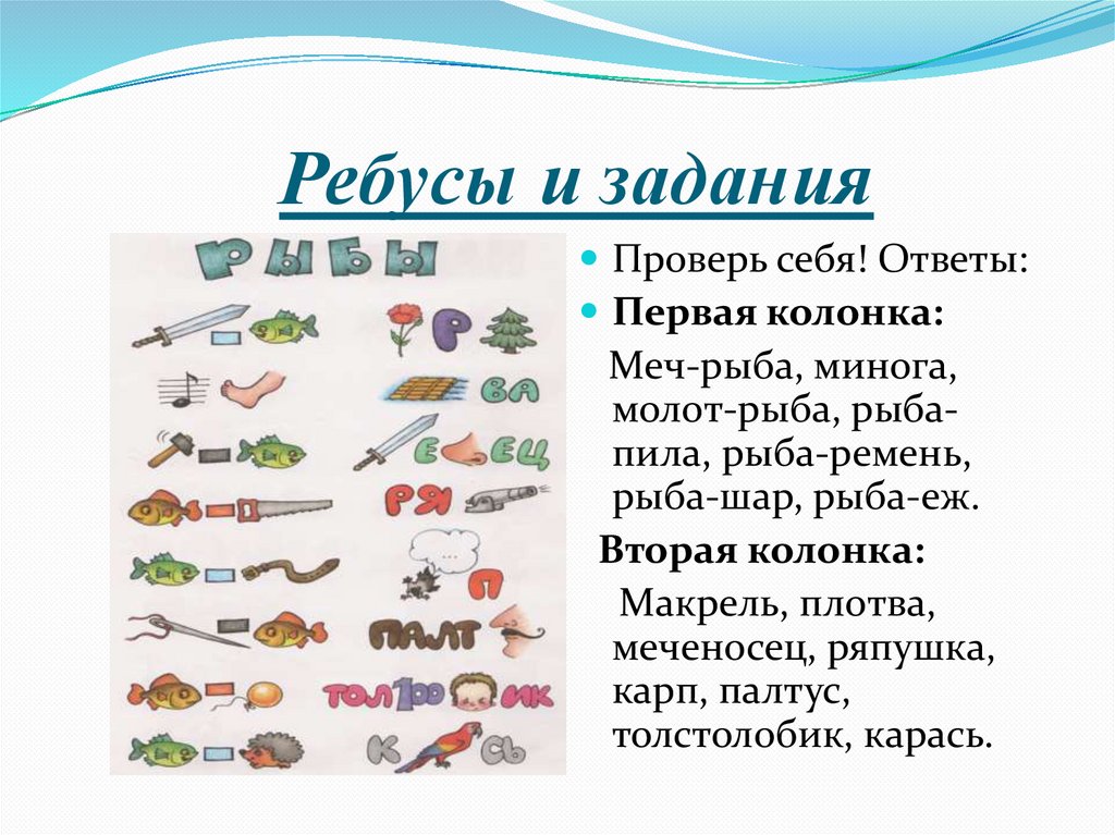 Ребусы и задания