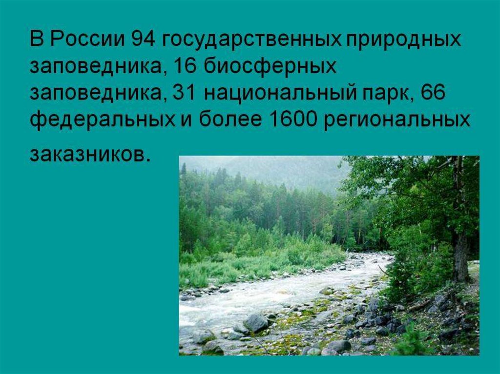 Презентация о национальных парках россии