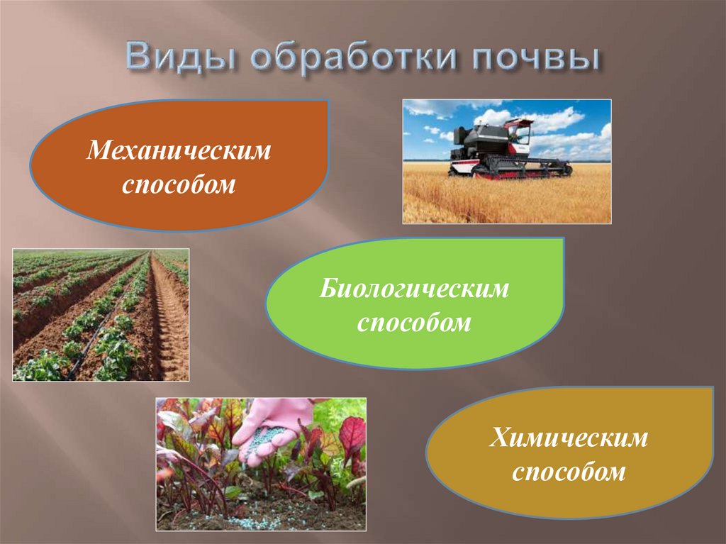 Методы обработки почвы. Способы обработки почвы. Виды обработки почвы. Виды основной обработки почвы. Агротехнические приемы обработки почвы.