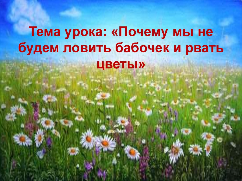 Презентация 1 класс почему не будем рвать цветы и ловить бабочек 1 класс