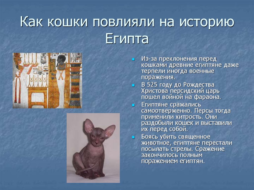 Братья наши меньшие презентация 2 класс