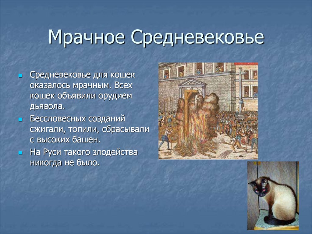 Мрачное Средневековье