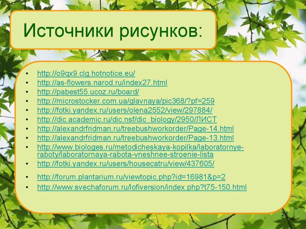 Внешнее и внутреннее строение листа лабораторная работа. Листы и источники. Презентация лист с источниками информации. Использованный источник лист для презентации.