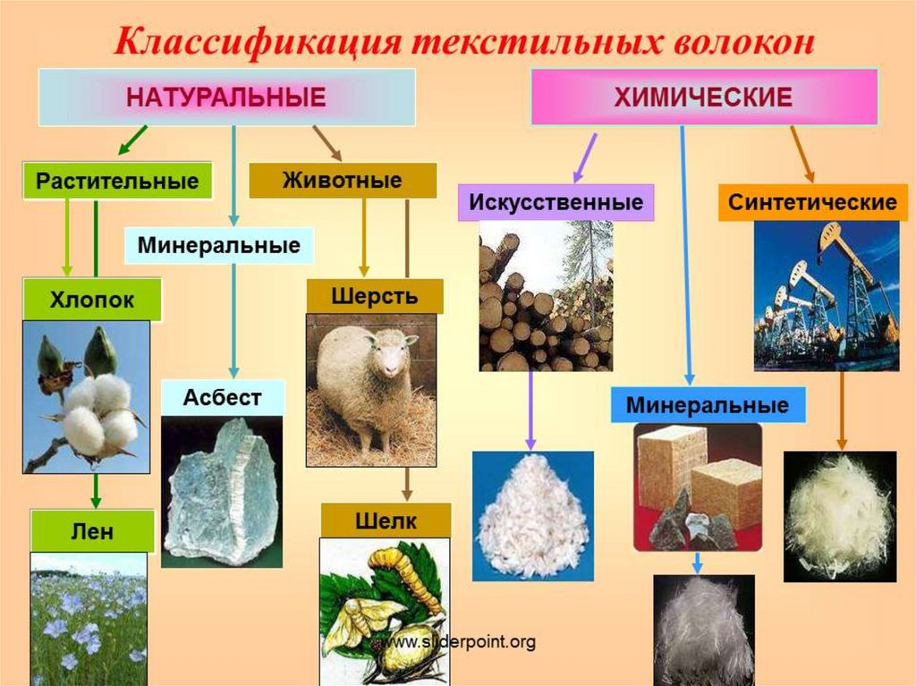 Растительные волокна презентация