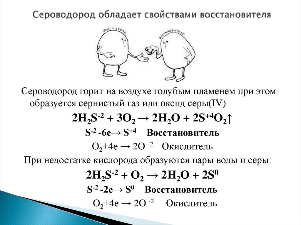 Сероводород образуется по схеме