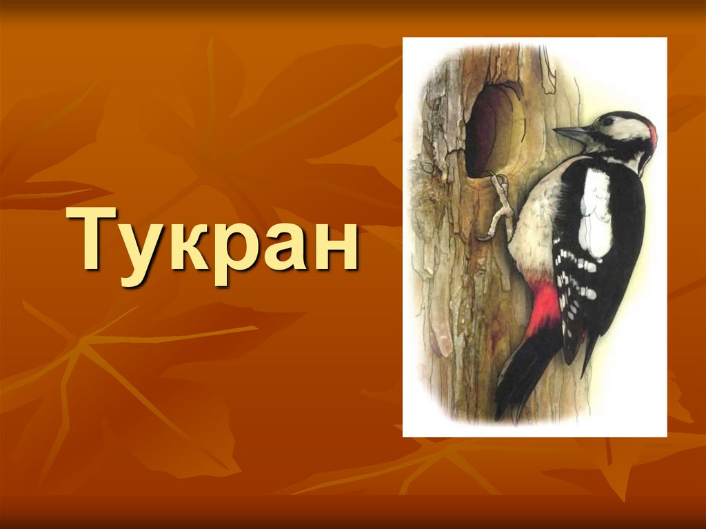 Тукран