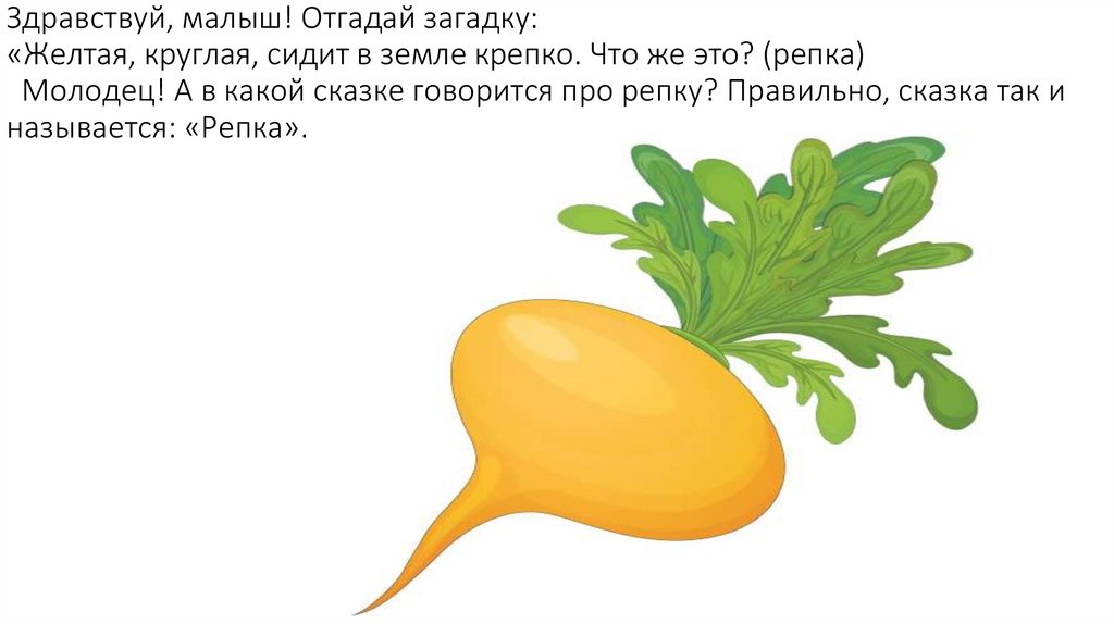 Загадка желтая курица под тыном дуется ответ. Загадка желтая курица под тыном дуется ответ