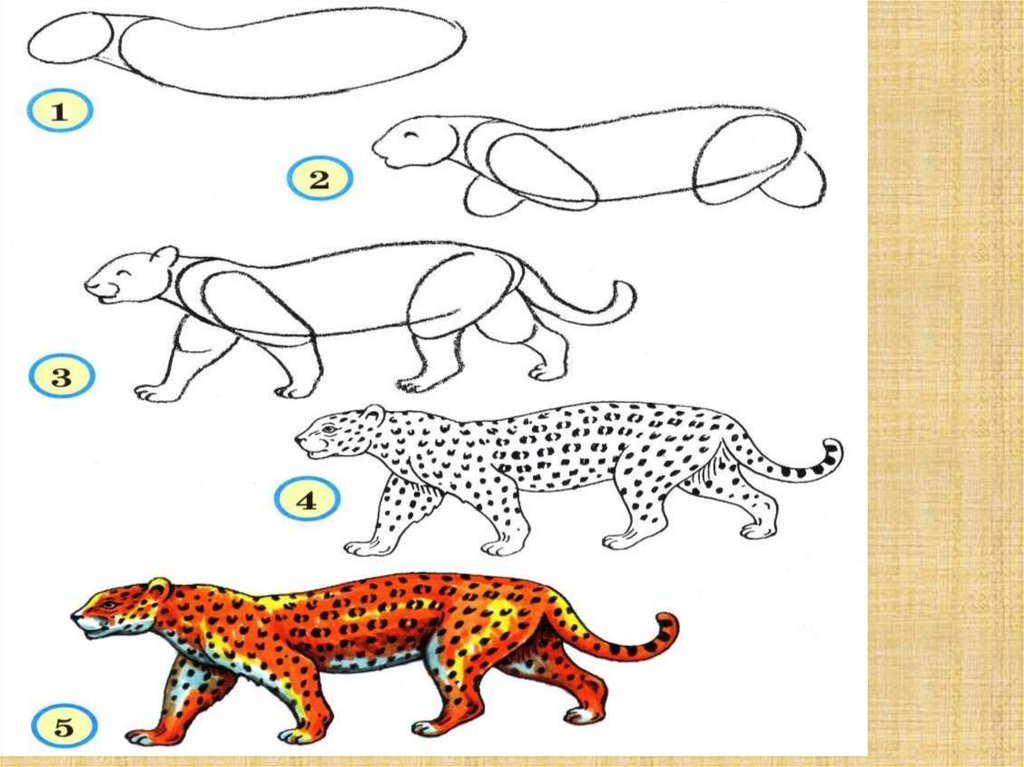 Изобразить характер животного. Изображение характера животных. Изо животные. Изо 2 класс рисование животных. Изображение характера животных рисунки детей.