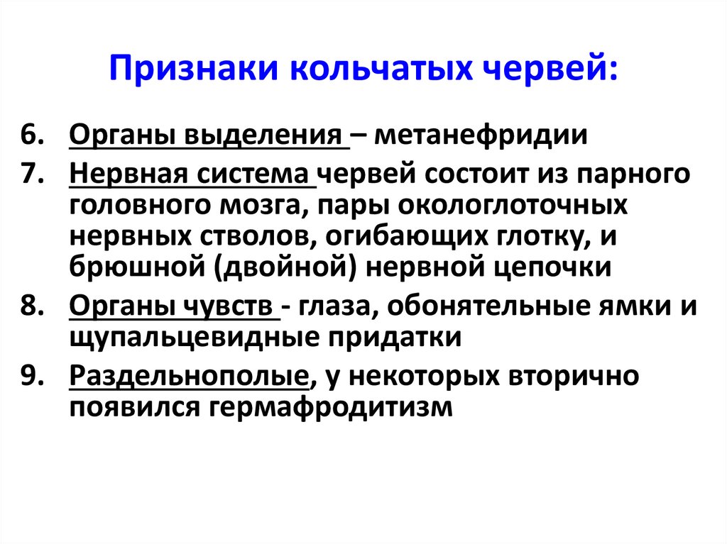 Признаки кольчатых червей: