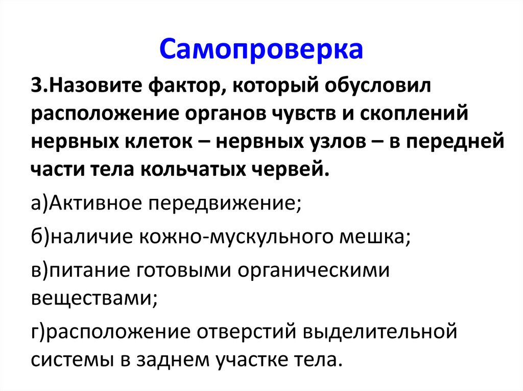 Самопроверка