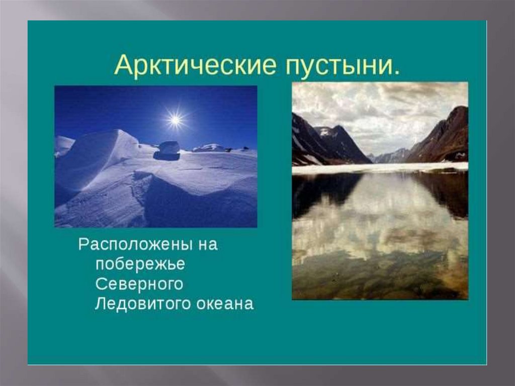 Природная зона арктических пустынь расположена. Арктические пустыни расположены. Рельеф арктических пустынь в России. Зона арктических пустынь рельеф. Природные зоны Северного Ледовитого океана.