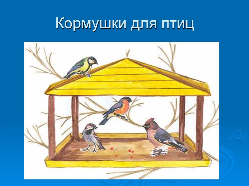 Рисунок птицы в кормушке