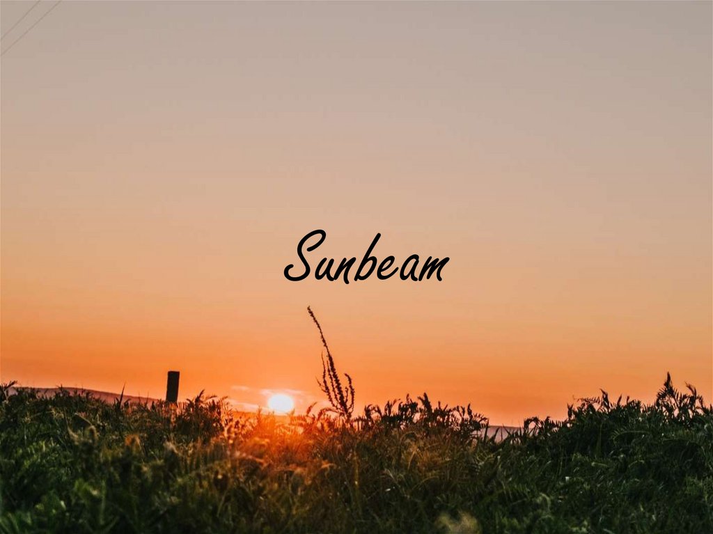 Sunbeam