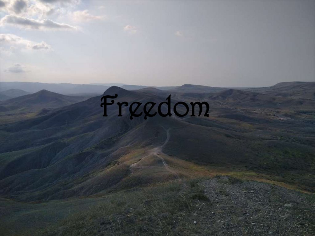 Freedom