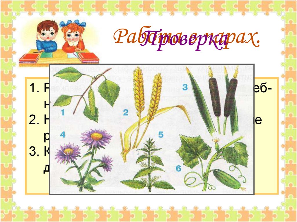 Рисунки культурных растений