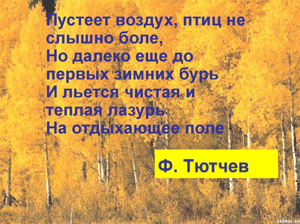 Есть в осени первоначальной эпитеты. Пустеет воздух, птиц не слышно боле, — на отдыхающее поле.. И льётся чистая и светлая лазурь на отдыхающее поле.