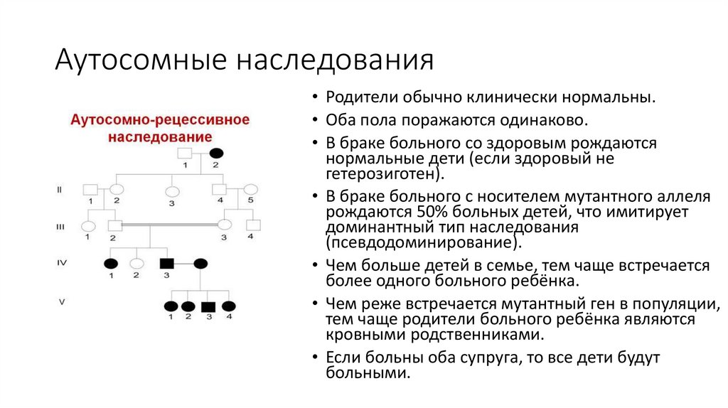 Тест типы наследования