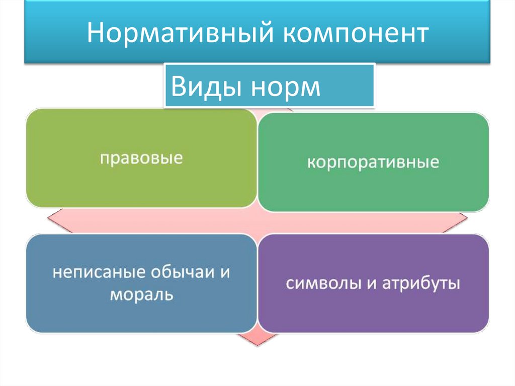 Науки политической сферы