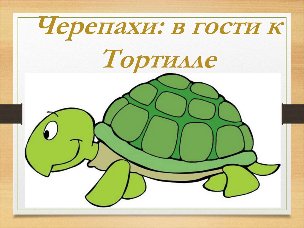 Текст черепахи тортиллы. Презентация на тему черепахи. Спасибо за внимание для презентации черепаха. Нарисовать черепаху Тортиллу. Как нарисовать черепаху Тартилу.