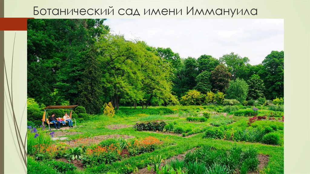 Ботанический сад имени Иммануила Канта.