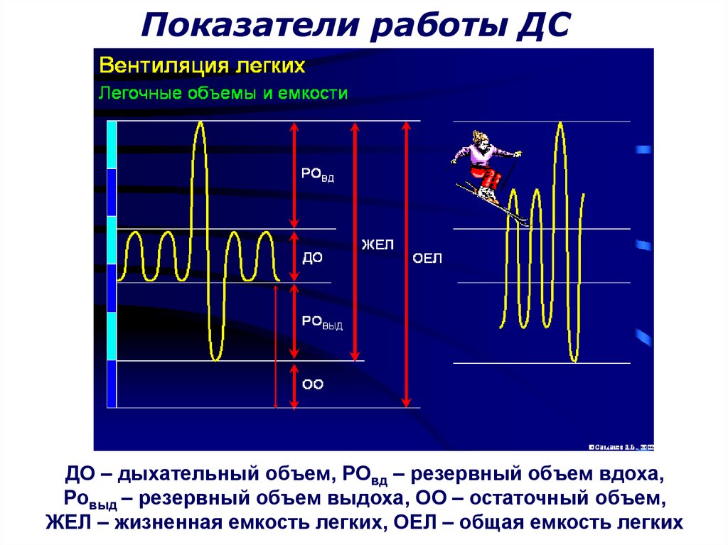 Резервный объем выдоха. Дыхательный объем резервный объем. Резервный объем выдоха + резервный объем. Жел резервный объем вдоха и выдоха. Резервный объем выдоха (РОВЫД).