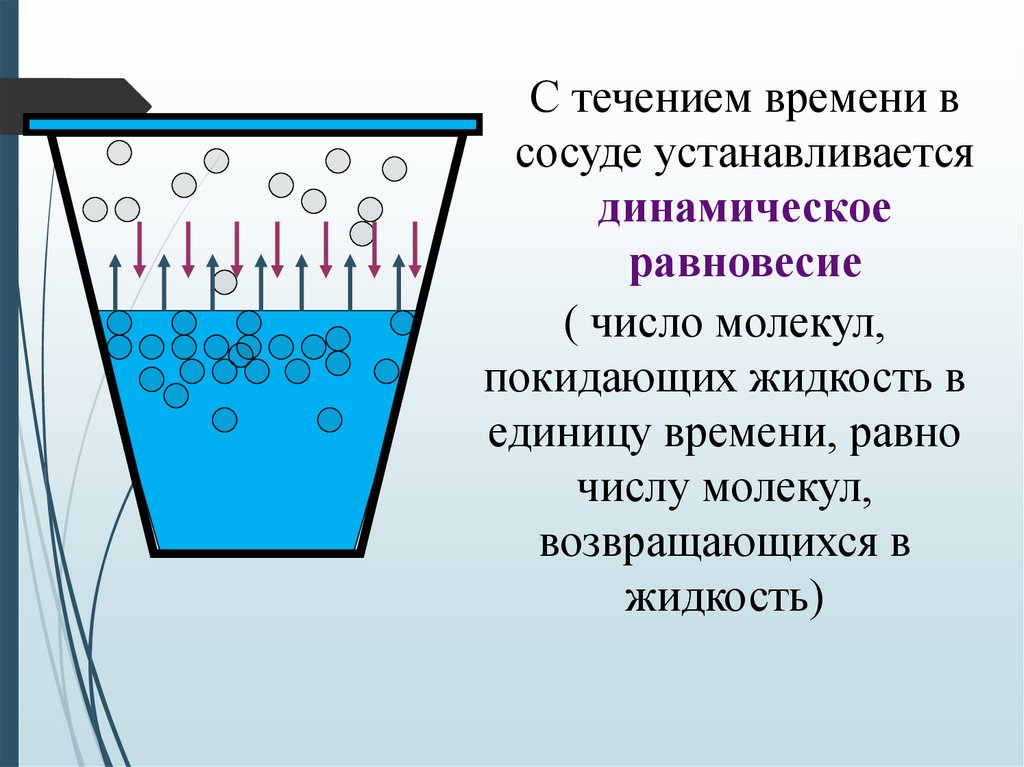 Число молекул в сосуде. Динамическое равновесие. Динамическое равновесие физика. Динамическое равновесие это в физике. Динамическое равновесие между паром и жидкостью.