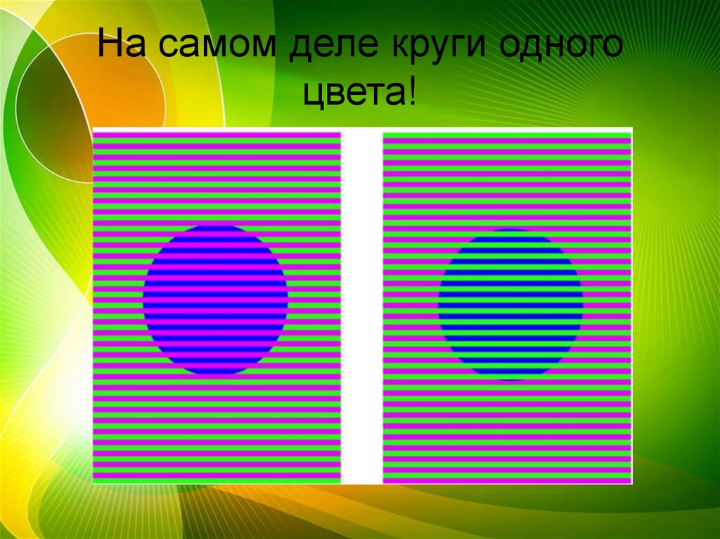 На самом деле круги одного цвета!
