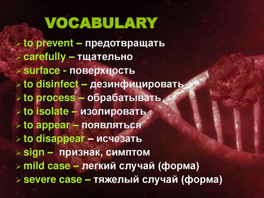 VOCABULARY