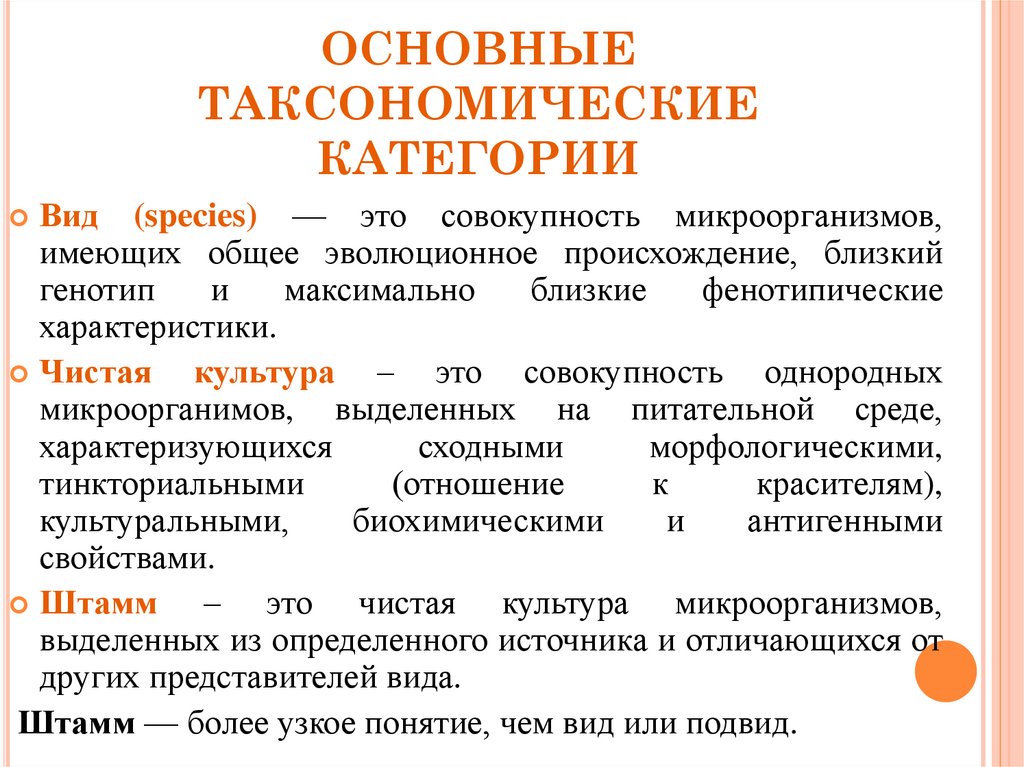 Таксономические категории микроорганизмов схема