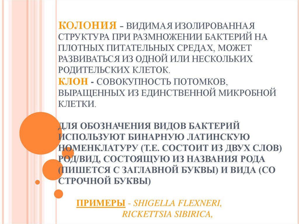 КОЛОНИЯ - ВИДИМАЯ ИЗОЛИРОВАННАЯ СТРУКТУРА ПРИ РАЗМНОЖЕНИИ БАКТЕРИЙ НА ПЛОТНЫХ ПИТАТЕЛЬНЫХ СРЕДАХ, МОЖЕТ РАЗВИВАТЬСЯ ИЗ ОДНОЙ