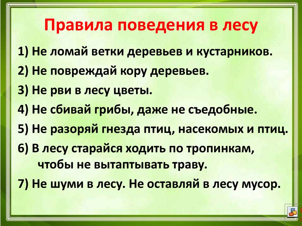 Правила поведения в лесу