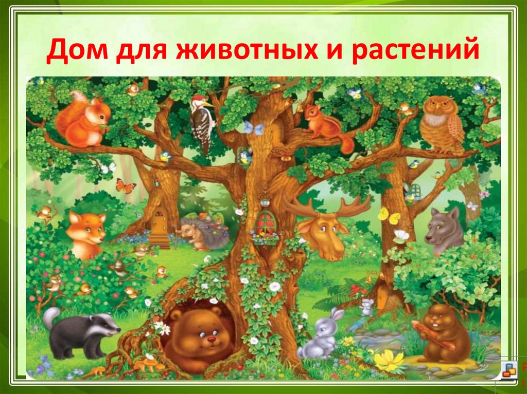 Дом для животных и растений